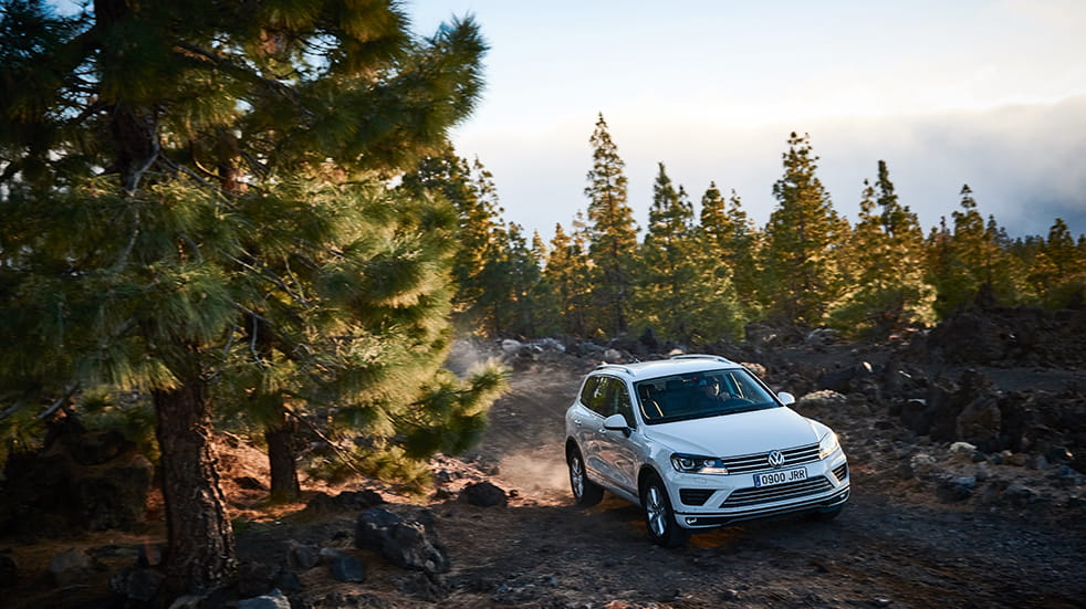 Self drive holiday in Tenerife: Mercedes Forest 